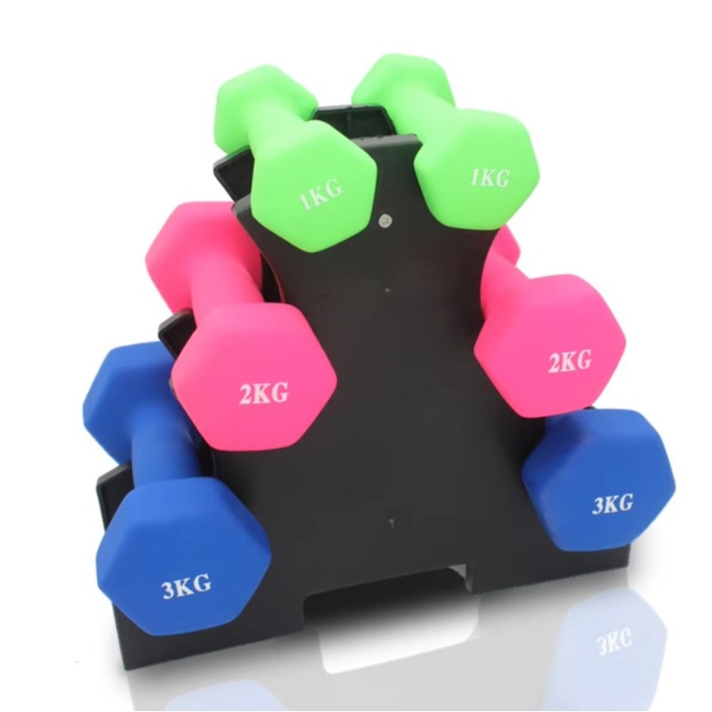 3-Tier  Dumbbell Storage Rack  - Home Gym Fitness 리뷰 및 가격