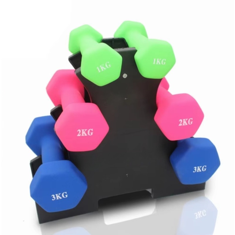 3-Tier  Dumbbell Storage Rack  - Home Gym Fitness 리뷰 및 가격