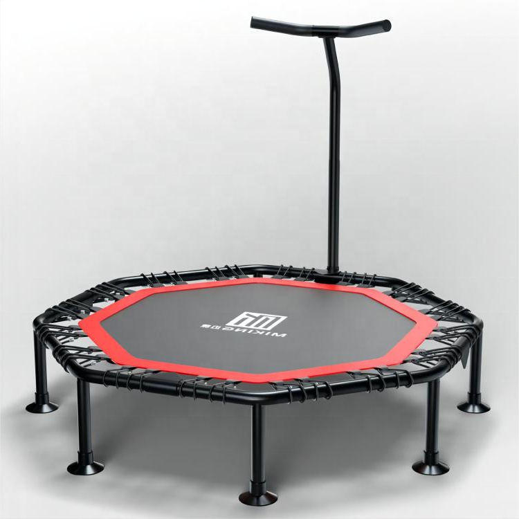 Trampoline with Adjustable Han - Home Gym Equipments 리뷰 및 가격