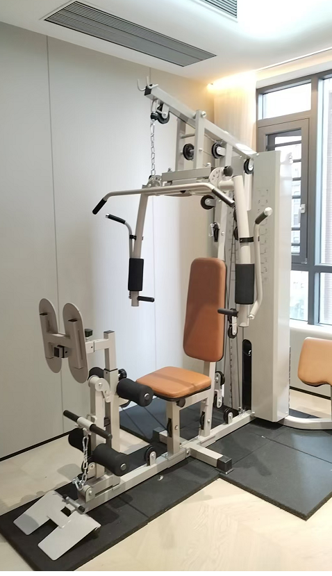 All-In-One Multi-Function Home - Home Gym Gear 리뷰 및 가격