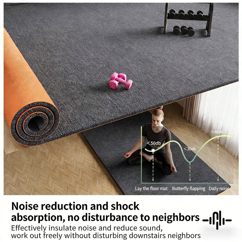 Shockproof Plush Carpet Floor  - Home Gym Minimalist 리뷰 및 가격