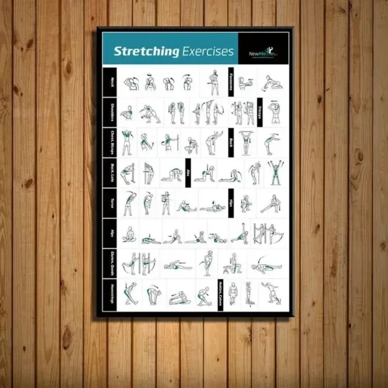 Body Exercise Training Chart G - Home Gym Minimalist 리뷰 및 가격