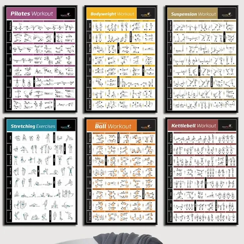 Body Exercise Training Chart G - Home Gym Minimalist 리뷰 및 가격