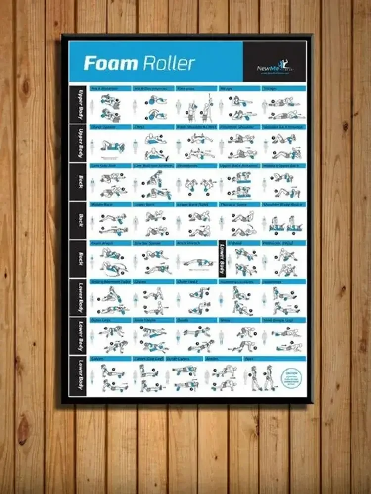 Body Exercise Training Chart G - Home Gym Minimalist 리뷰 및 가격