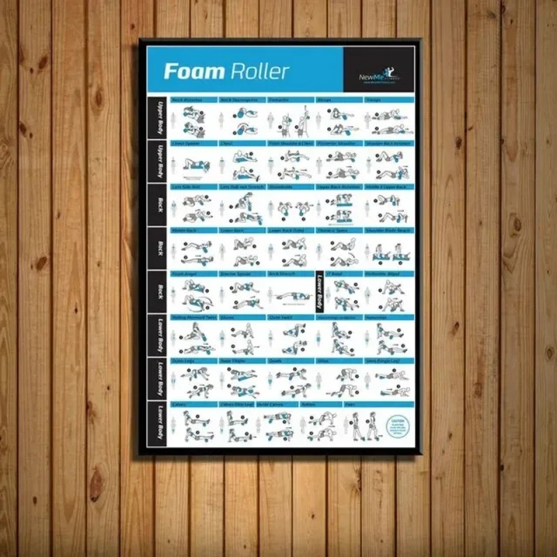 Body Exercise Training Chart G - Home Gym Minimalist 리뷰 및 가격