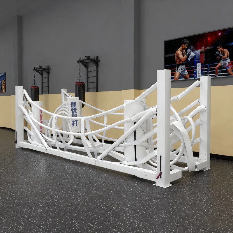 Foldable Gym Boxing Ring Set S - Home Gym Set 리뷰 및 가격