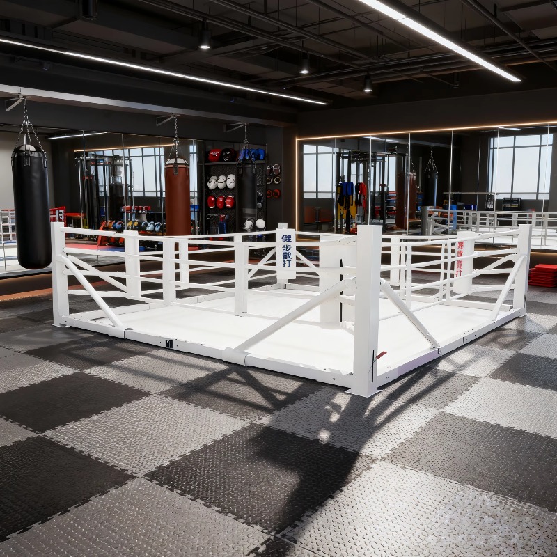 Foldable Gym Boxing Ring Set S - Home Gym Set 리뷰 및 가격