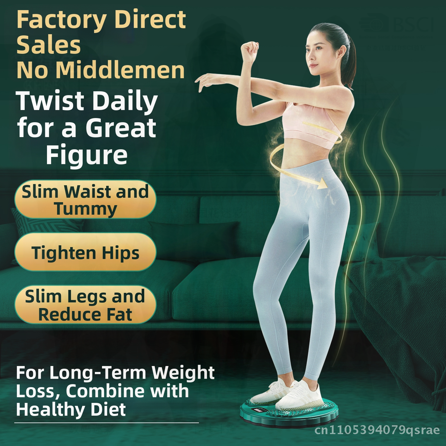 Intelligent Counting Waist Twi - Home Gym Second 리뷰 및 가격