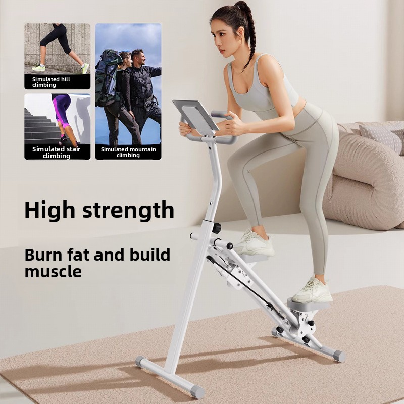 Home Gym Fitness Stair Climber - Leg Home Gym Workout 리뷰 및 가격