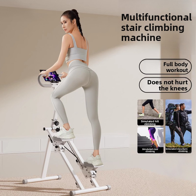 Home Gym Fitness Stair Climber - Leg Home Gym Workout 리뷰 및 가격