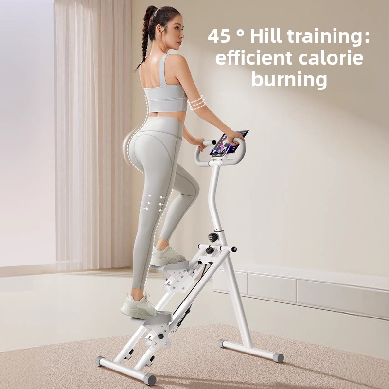 Home Gym Fitness Stair Climber - Leg Home Gym Workout 리뷰 및 가격