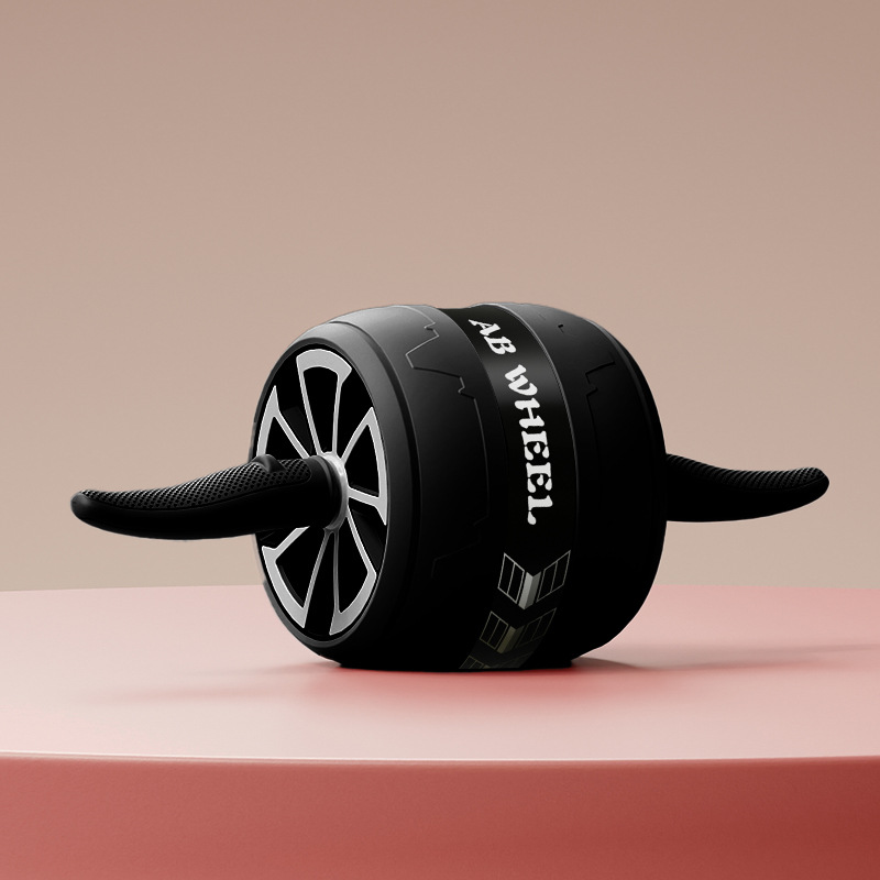 Quiet AB Wheel Roller Home Gym - Home Gym Second 리뷰 및 가격