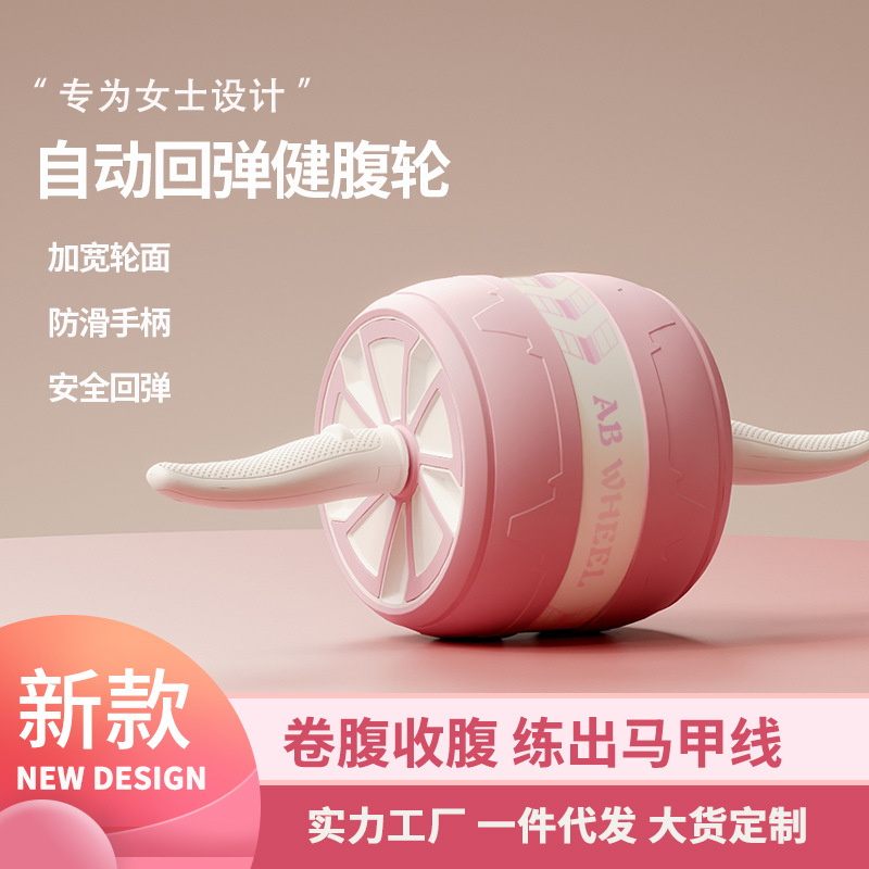 Quiet AB Wheel Roller Home Gym - Home Gym Second 리뷰 및 가격